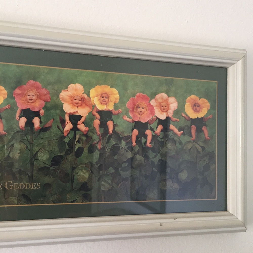 Anne Geddes “Wild Roses” - Picture 2 of 3
